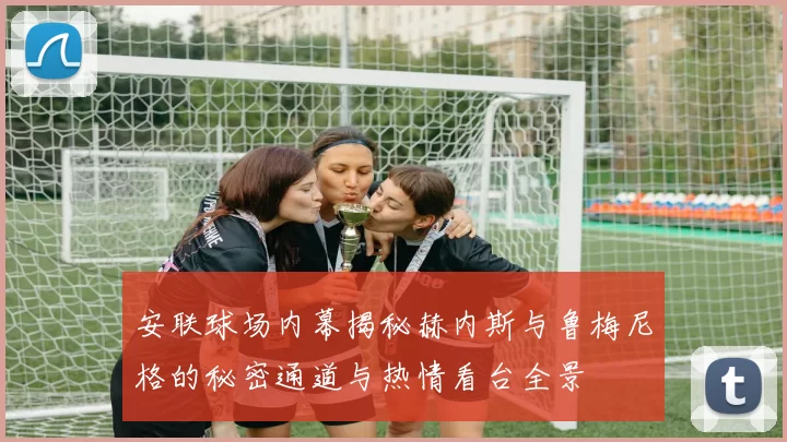 安联球场内幕揭秘赫内斯与鲁梅尼格的秘密通道与热情看台全景